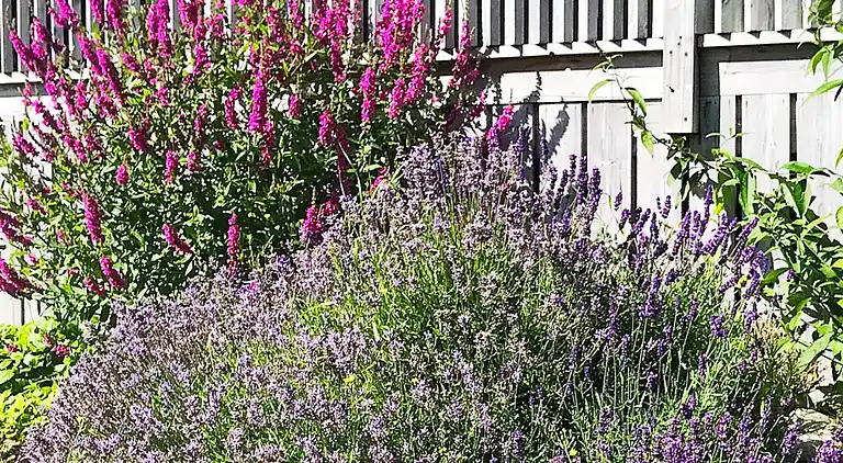 Sommerhus i Levanger