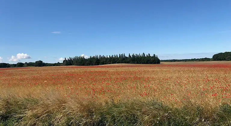 Authentic holiday home atmosphere