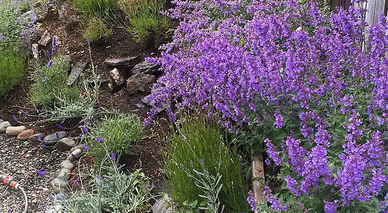 Sommerhus i Levanger