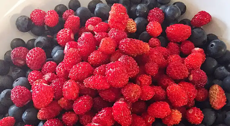 Sommerhus i Levanger