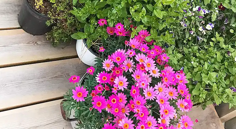 Sommerhus i Levanger