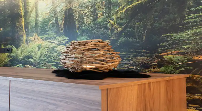 Holiday home in Rahier