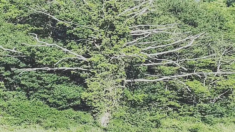 Holiday home in Niverlée