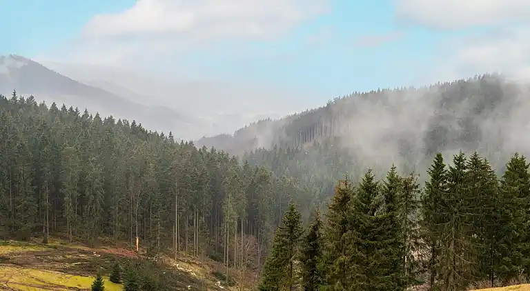 Holiday home in Nordenau