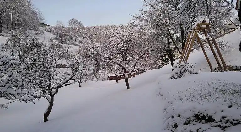 Gårdhus i Schönbrunn