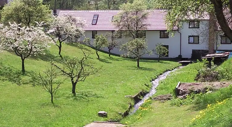 Gårdhus i Schönbrunn