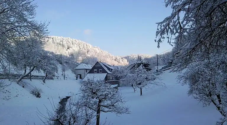 Gårdhus i Schönbrunn