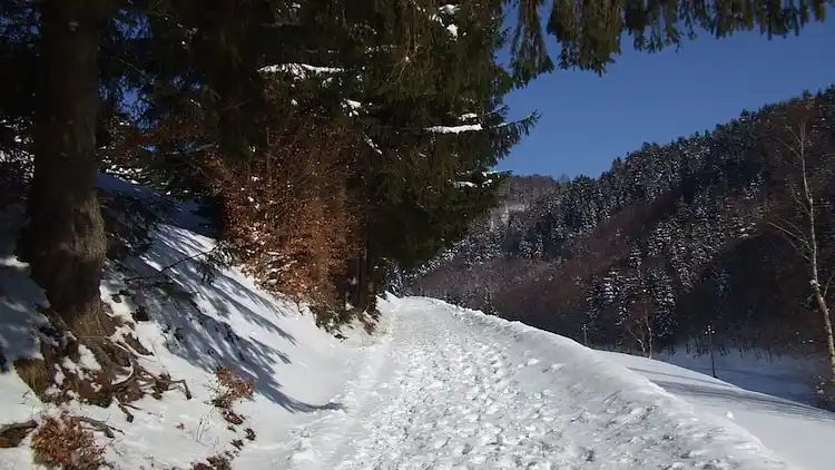 Gårdhus i Schönbrunn