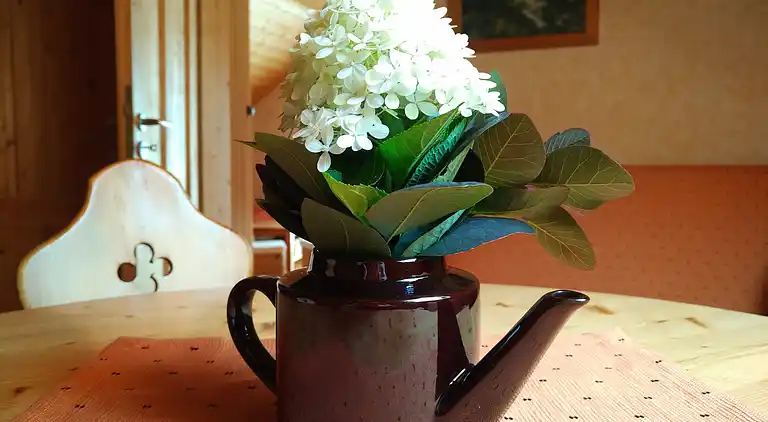 Gårdhus i Schönbrunn