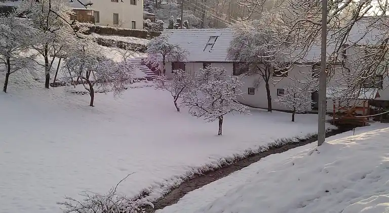 Gårdhus i Schönbrunn