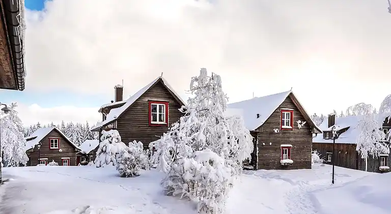 Holiday home in Torfhaus