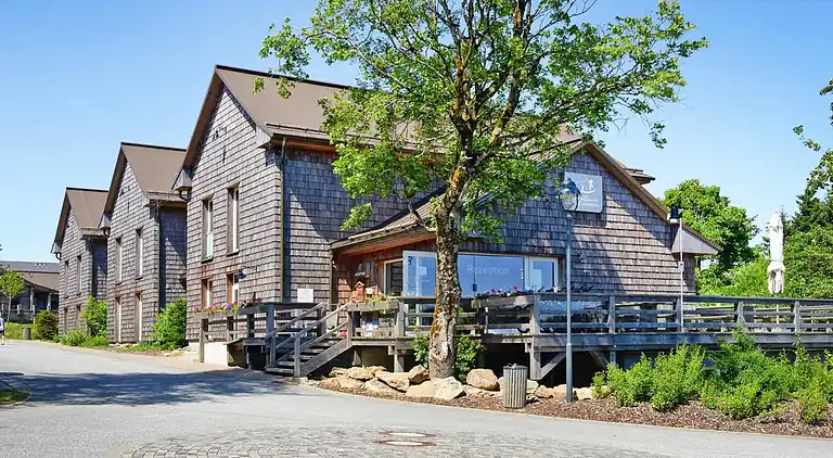 Holiday home in Torfhaus