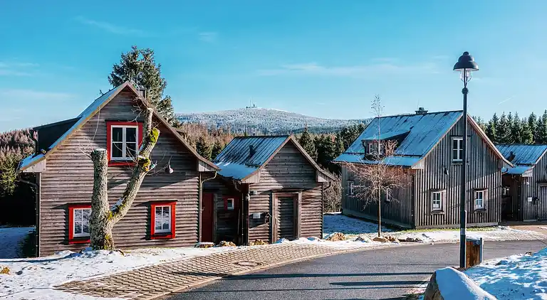 Holiday home in Torfhaus