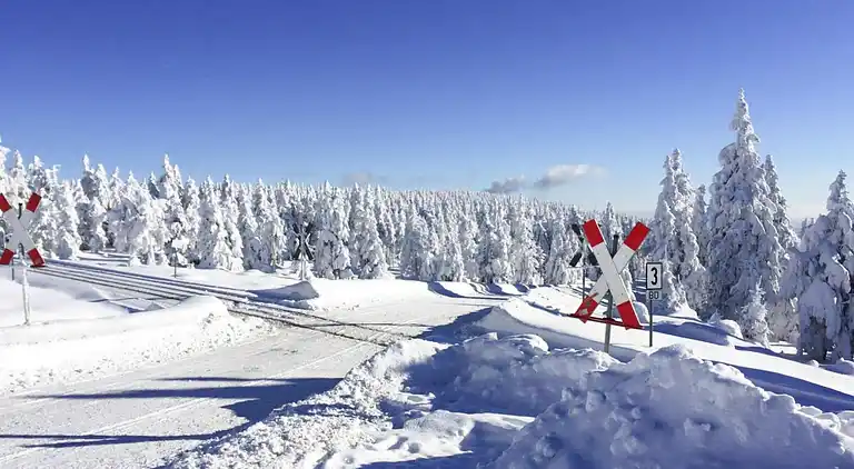 Holiday home in Torfhaus