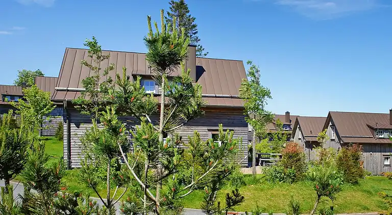 Holiday home in Torfhaus