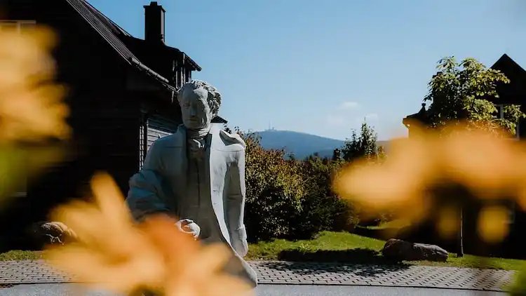 Holiday home in Torfhaus