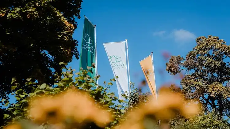 Holiday home in Torfhaus