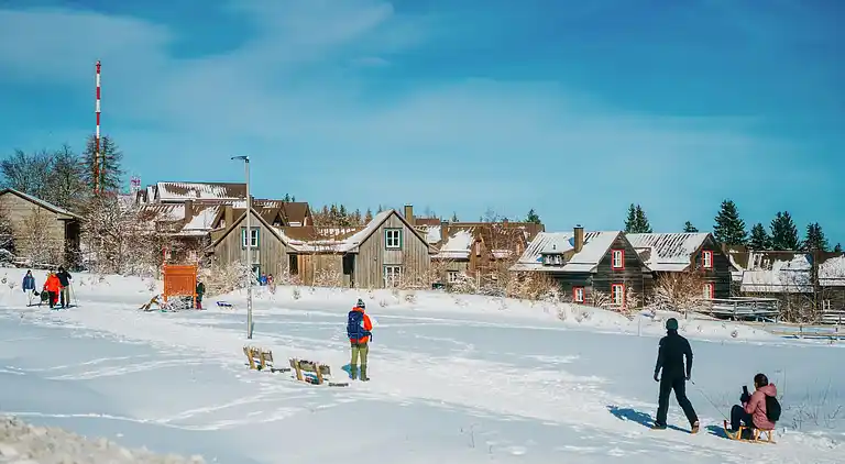 Holiday home in Torfhaus