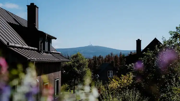Holiday home in Torfhaus