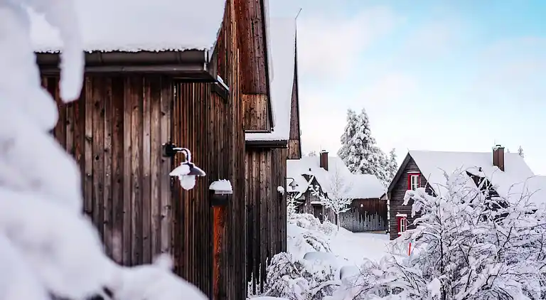 Holiday home in Torfhaus