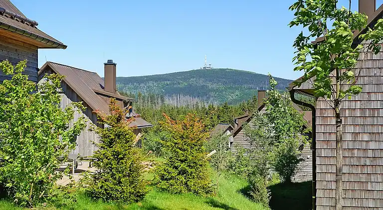 Holiday home in Torfhaus