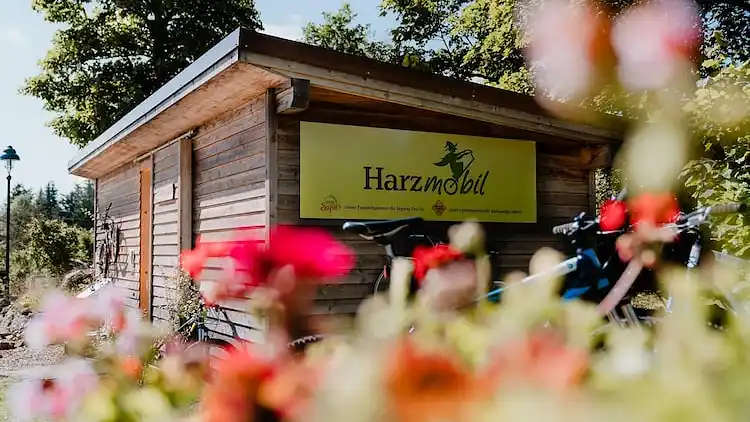 Holiday home in Torfhaus