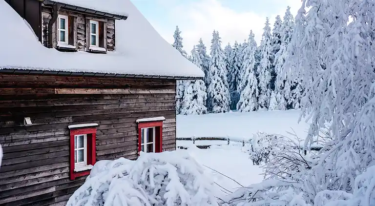 Holiday home in Torfhaus