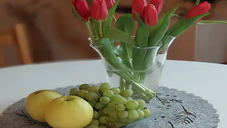 Apartment in Kücknitz