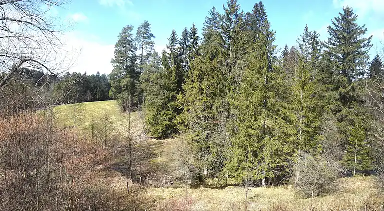 Ferienhaus in Eschach