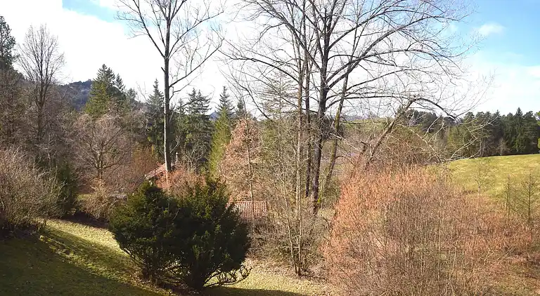 Ferienhaus in Eschach