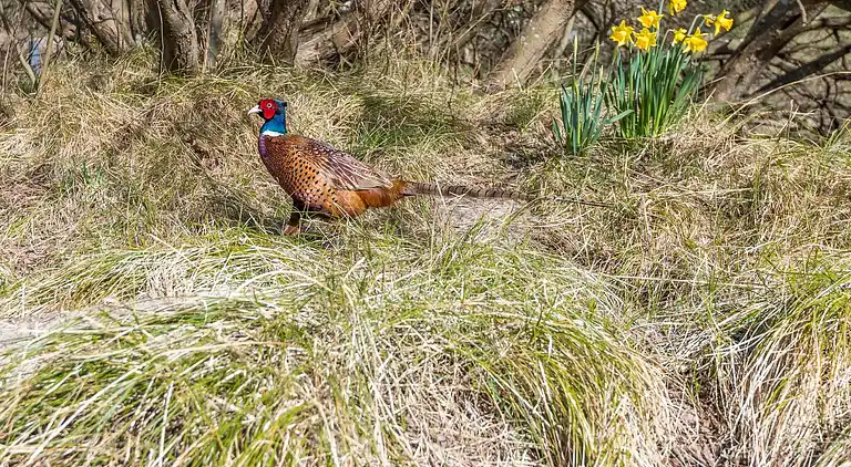 Holiday home in Rindby Strand