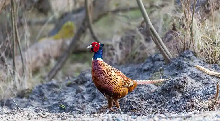 Holiday home in Rindby Strand