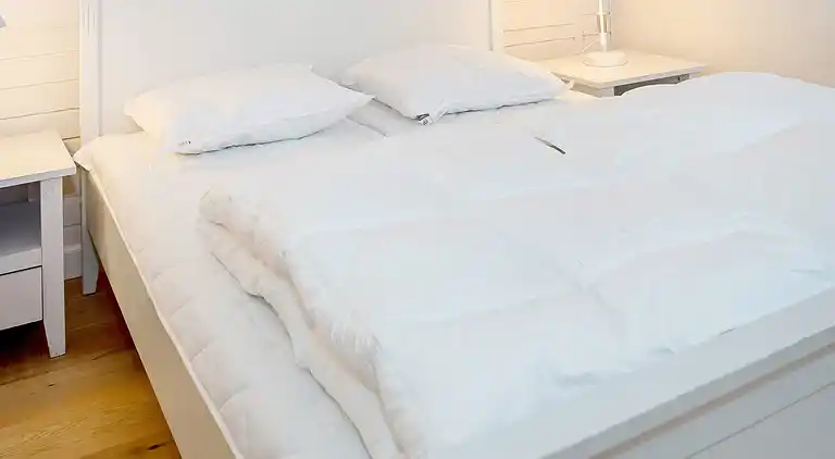 Holiday home in Thisted