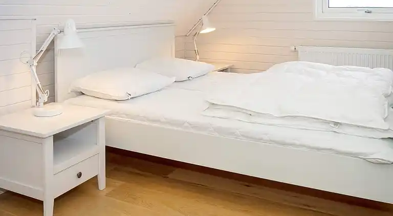 Holiday home in Thisted