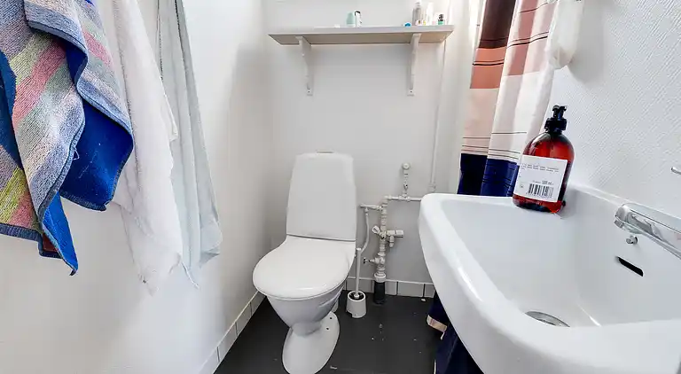 Lyst sommerhus tæt på havet i grønne omgivelser