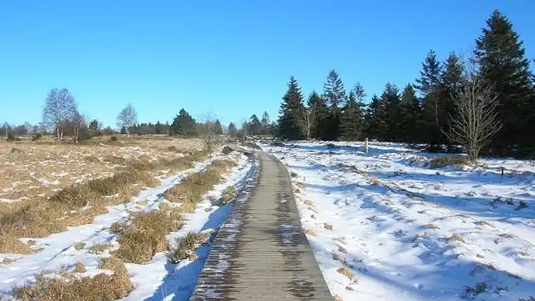 Cottage in Robertville