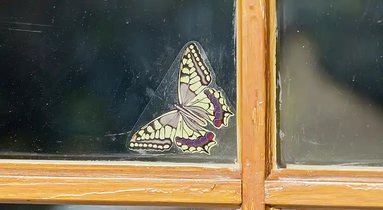 Sommerhus i Obergeis