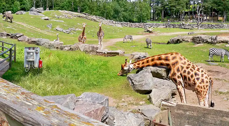 Semesterbostad i Örby