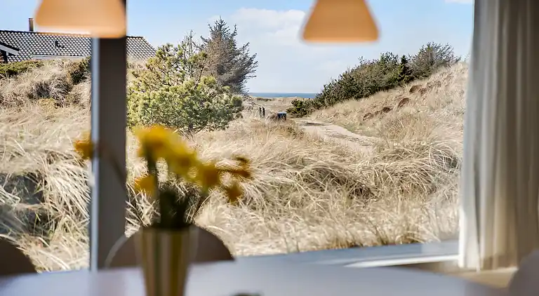 Sommerhus med havutsikt i sanddynene