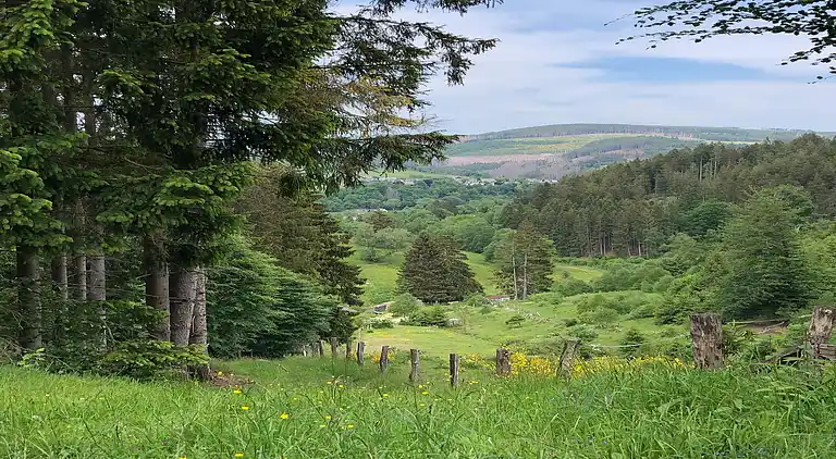 Vakantiehuis in Züschen