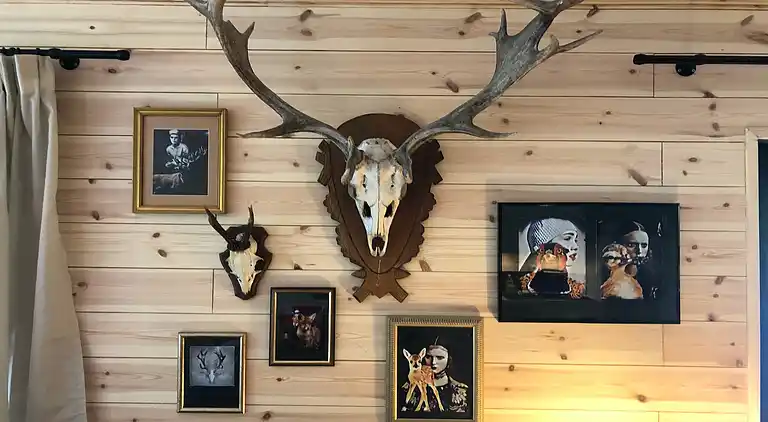 Vakantiehuis in Züschen