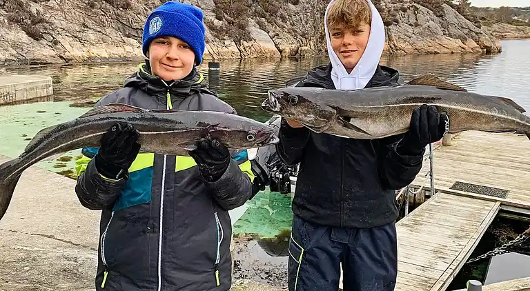 Holiday home in Algrøyna