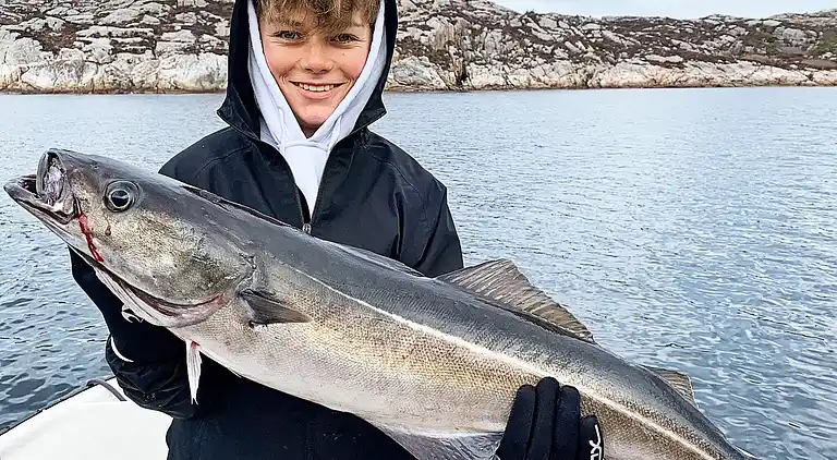 Holiday home in Algrøyna