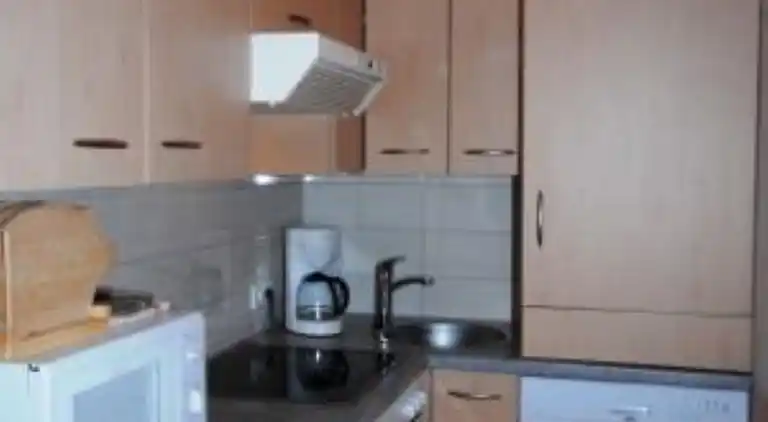 Feriebolig i Mayrhofen