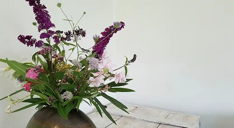 Villa in Languedoc-Roussillon