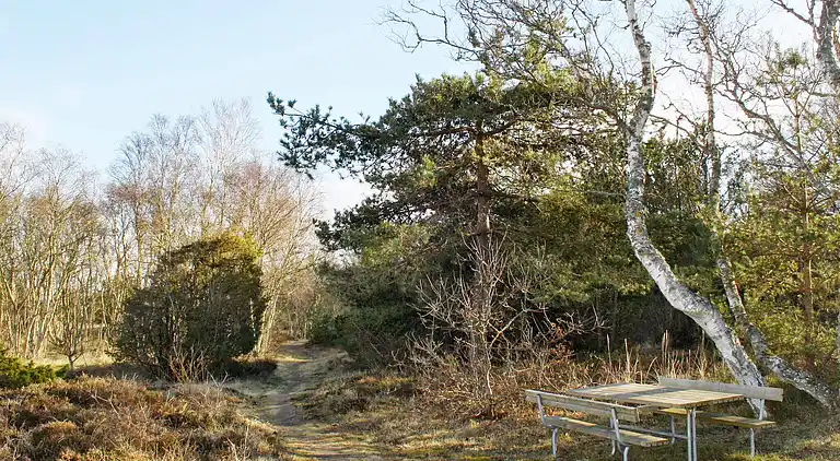 Sommerhus ved Helberskov Strand