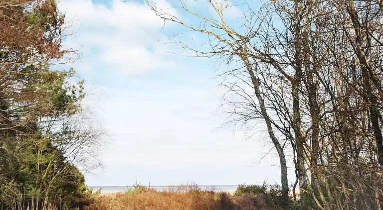 Sommerhus ved Helberskov Strand