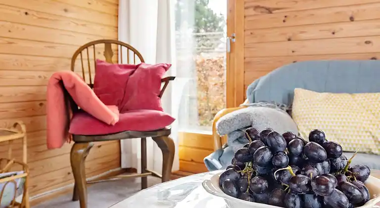 Sommerhus i Hirtshals