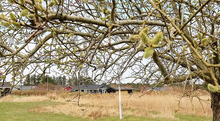 Sommerhus i Hirtshals