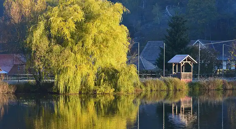 Holiday home in Hasselfelde